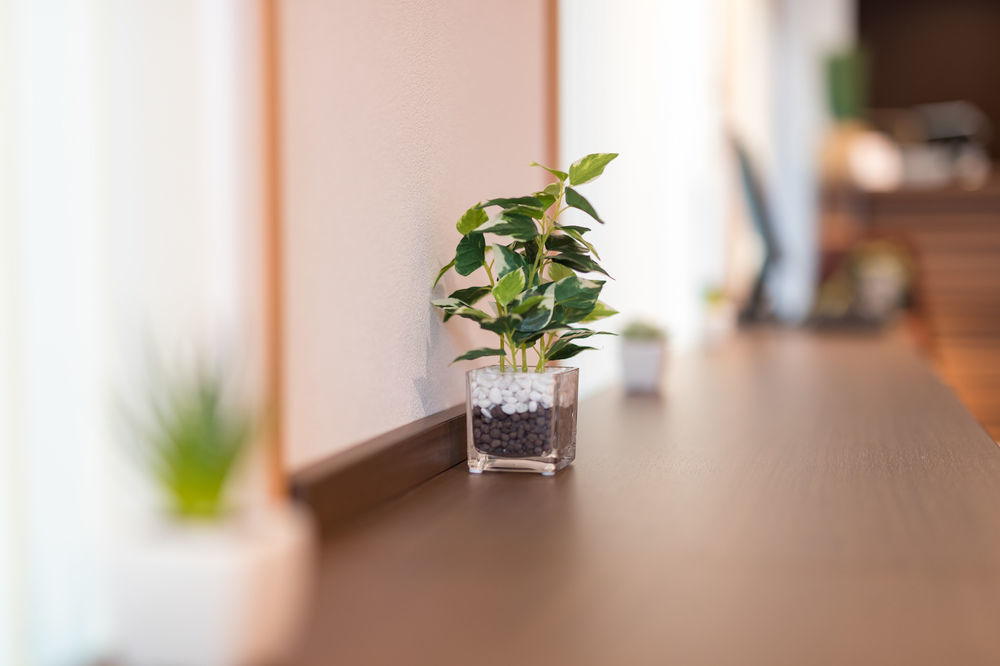Simple Stay Kanon Nanba Minami Osaka Bagian luar foto